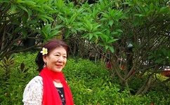 洛城生死恋国语版全集